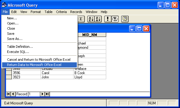 Microsoft Query return to excel